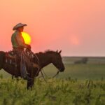Cowboy on Horse At Sunset POSTER 24 X 18 Inches Nice Wall Art