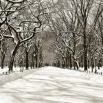 POET'S WALK CENTRAL PARK (Snow Covered) 24 X 36 Inches Looks Simply Beautiful!