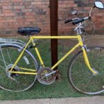 Vintage 1972 Schwinn Varsity Bicycle (Yellow) POSTER 24 X 36 INCH WALL ART!