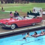 1960 Ford Thunderbird Convertable Pool Side Ad (Red) POSTER 24 X 36 INCH SWEET!