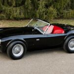1965 SHELBY 289 COBRA POSTER 24 X 36 INCH SWEET LOOKING!