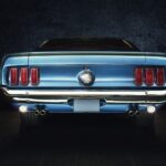 1969 Ford Mustang (Rear) POSTER 24 X 36 INCH Nice Wall Art!