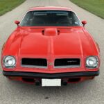 1974 Pontiac Firebird Trans Am (Front) Red POSTER 24 X 36 INCH SWEET!