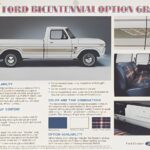 1976 Ford Truck Bicentennial Options POSTER 24 X 18 Inches Nice Wall Art