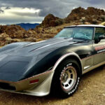 1978 Chevrolet Corvette L48 Pace Car POSTER 24 X 36 Inches SWEET!
