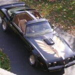 1979 Pontiac Firebird Trans A (Aerial) POSTER 24 X 36 INCH Sweet!