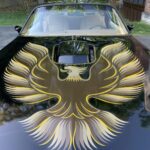 1979 Pontiac Firebird Trans Am (Hood Logo) POSTER 24 X 36 INCH Sweet!