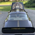 1979 Pontiac Firebird Trans Am (Hood) POSTER 24 X 36 INCH Sweet!