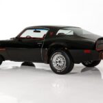 1980 Pontiac Firebird Trans Am 4.9 (Rear Angle) 24 X 36 INCH Nice!