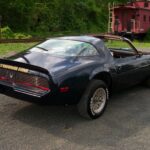 1981 PONTIAC FIREBIRD TRANS AM (T-TOPS) POSTER 24 X 36 INCH SWEET!