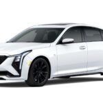 2025 Cadillac CT5 Sport (White) POSTER 24 X 36 INCH Nice Wall Art!