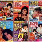 70s Tiger Beat Magazine Covers POSTER 24 X 18 Inches Wall Art
