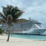 MSC SEASHORE (Palm Tree) POSTER 24 X 36 Inches Looks beautiful