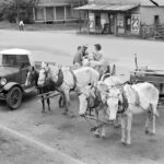 San Augustine Texas 1939 POSTER 24 X 18 Inches Wall Art