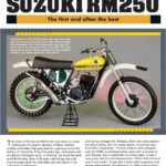 Suzuki RM250 (Story) MX Motocross Motorcycle POSTER 24 X 36 INCH SWEET!