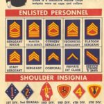 U. S Marine Corps Rank Insignia of World War II POSTER 24 X 36 Inches