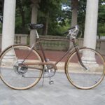 Vintage 1973 Schwinn Suburban 5 Speed Bicycle POSTER 24 X 36 INCH WALL ART!